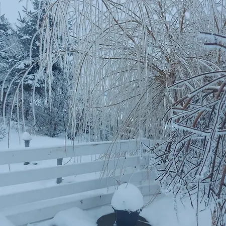 Kapłonówka Apartamento *