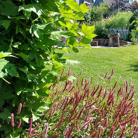 Lejlighed Kaplonowka Bańska