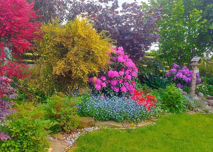 Kaplonowka Apartment *