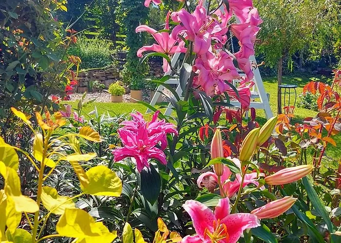 Apartment Kaplonowka *